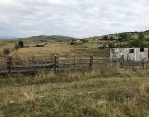 Telek eladó on Floresti