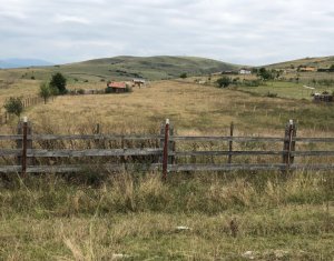 Telek eladó on Floresti