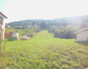 Telek eladó on Floresti