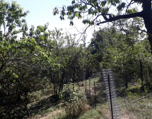 Telek eladó on Cluj-napoca, Zóna Dambul Rotund