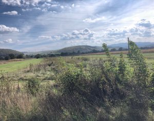 Telek eladó on Floresti, Zóna Centru