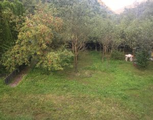 Nyaralók eladó on Maguri-racatau, Zóna Centru