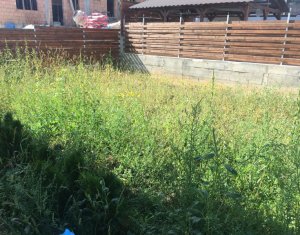 Ház 5 szobák eladó on Floresti