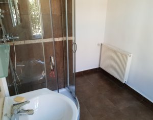 Ház 2 szobák kiadó on Cluj-napoca, Zóna Centru