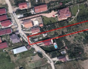 , 1312m2 on Cluj-napoca, Zóna Borhanci