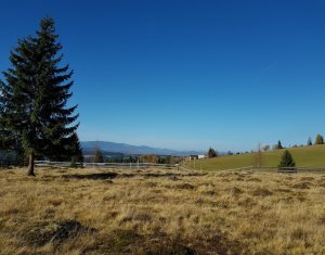 Nyaralók eladó on Marisel