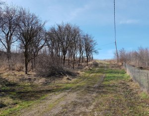 Telek eladó on Cluj-napoca, Zóna Iris
