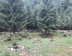 , 1415m2 on Valea Ierii