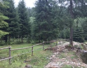 Telek eladó on Valea Ierii