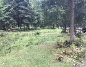 Telek eladó on Valea Ierii