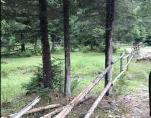 Telek eladó on Valea Ierii