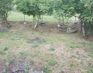 Ház 4 szobák eladó on Vlaha