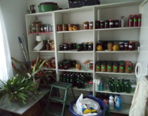 Ház 4 szobák eladó on Gilau