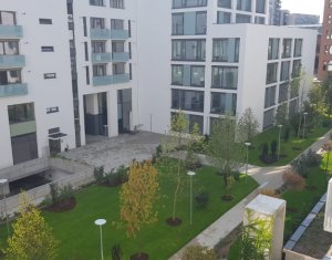 Lakás 2 szobák kiadó on Cluj-napoca, Zóna Gheorgheni