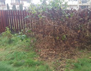 Ház 4 szobák kiadó on Floresti