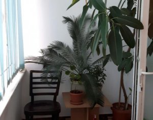 Lakás 2 szobák kiadó on Cluj-napoca, Zóna Centru