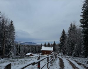 Nyaralók eladó on Calatele