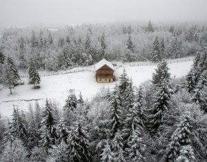 Nyaralók eladó on Calatele
