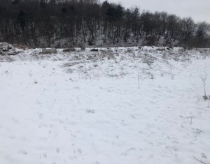 Telek eladó on Floresti