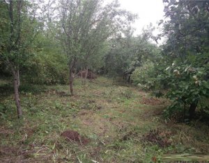 Telek eladó on Cluj-napoca, Zóna Manastur