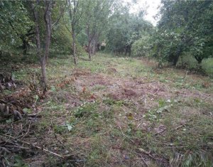 Telek eladó on Cluj-napoca, Zóna Manastur