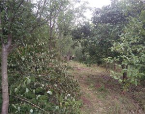 Telek eladó on Cluj-napoca, Zóna Manastur