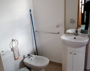 Lakás 1 szobák kiadó on Cluj-napoca, Zóna Dambul Rotund