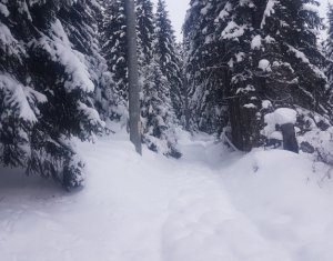 Telek eladó on Belis