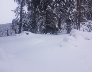 Telek eladó on Belis