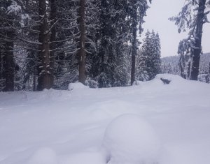 Telek eladó on Belis