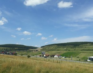 Ház 9 szobák eladó on Feleacu