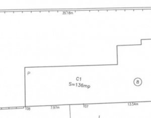 Maison 1 chambres à vendre dans Cluj-napoca, zone Grigorescu