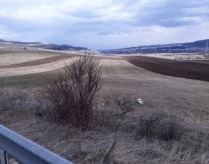 Terrain à vendre dans Floresti