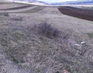 Terrain à vendre dans Floresti