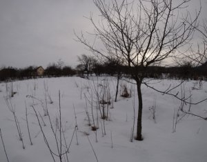 Ház 5 szobák eladó on Valcele