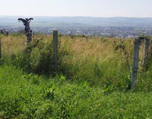 , 600m2 on Cluj-napoca, Zóna Iris