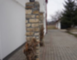 Ház 6 szobák eladó on Cluj-napoca, Zóna Iris