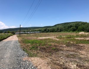 , 20588m2 on Cluj-napoca, Zóna Baciu