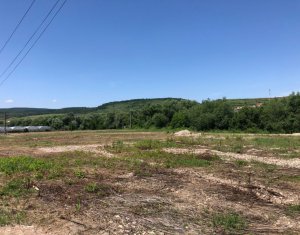 Telek eladó on Cluj-napoca, Zóna Baciu