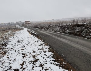 , 2000m2 on Cluj-napoca, Zóna Iris