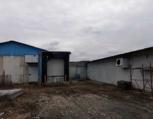 Espace Industriel à vendre dans Cluj-napoca, zone Apahida