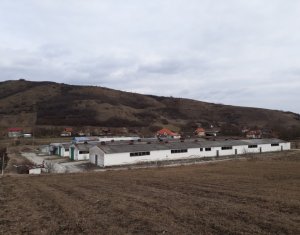 Teren industrial 10.800 mp, 4 Hale si corp administrativ, Suatu - Cluj