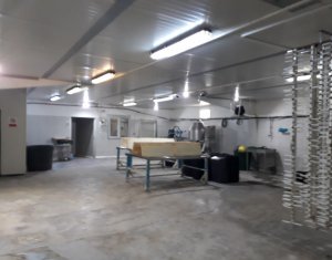 Teren industrial 10.800 mp, 4 Hale si corp administrativ, Suatu - Cluj