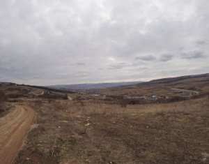 , 4263m2 on Cluj-napoca, Zóna Iris