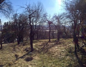 , 2914m2 on Cluj-napoca, Zóna Grigorescu