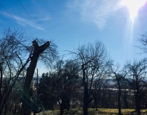 Telek eladó on Cluj-napoca, Zóna Grigorescu