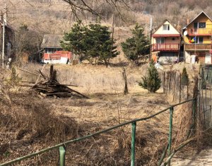 , 1100m2 on Cluj-napoca, Zóna Manastur