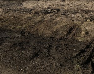 , 1000m2 on Floresti