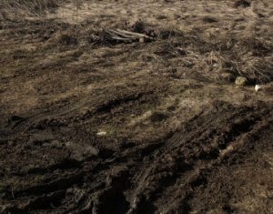 Telek eladó on Floresti