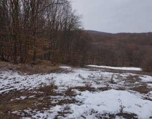 Telek eladó on Cluj-napoca, Zóna Faget